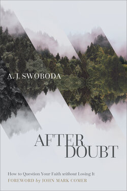 book cover of After Doubt