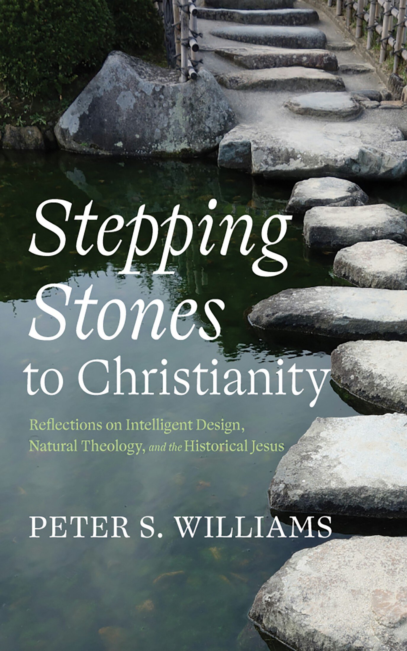 Stepping Stones to Christianity: Reflections on Intelligent Design ...