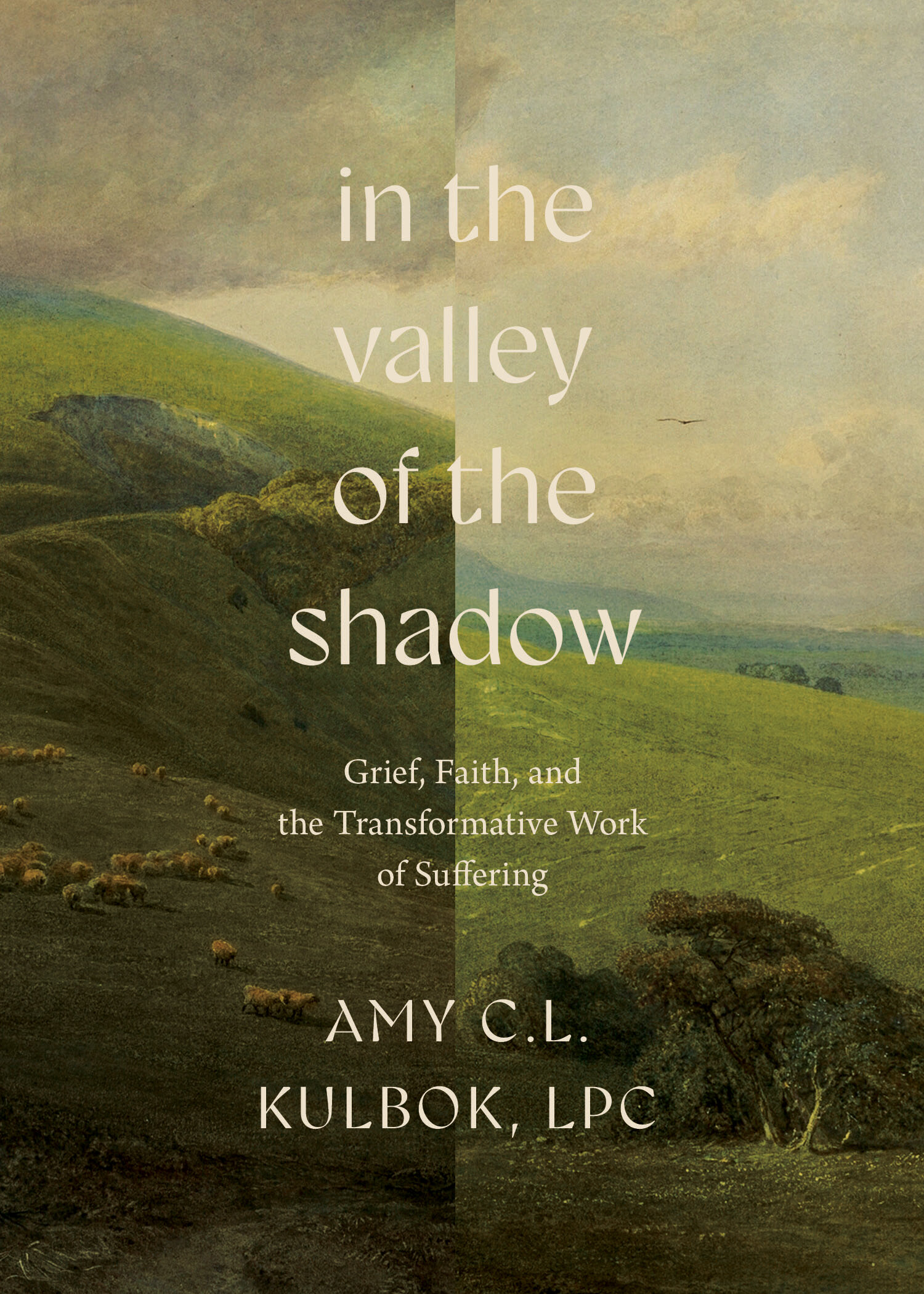 In the Valley of the Shadow: Grief, Faith, and the Transformative Work ...