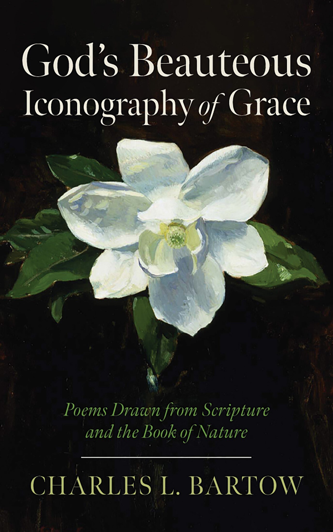 God’s Beauteous Iconography of Grace: Poems Drawn from Scripture and ...