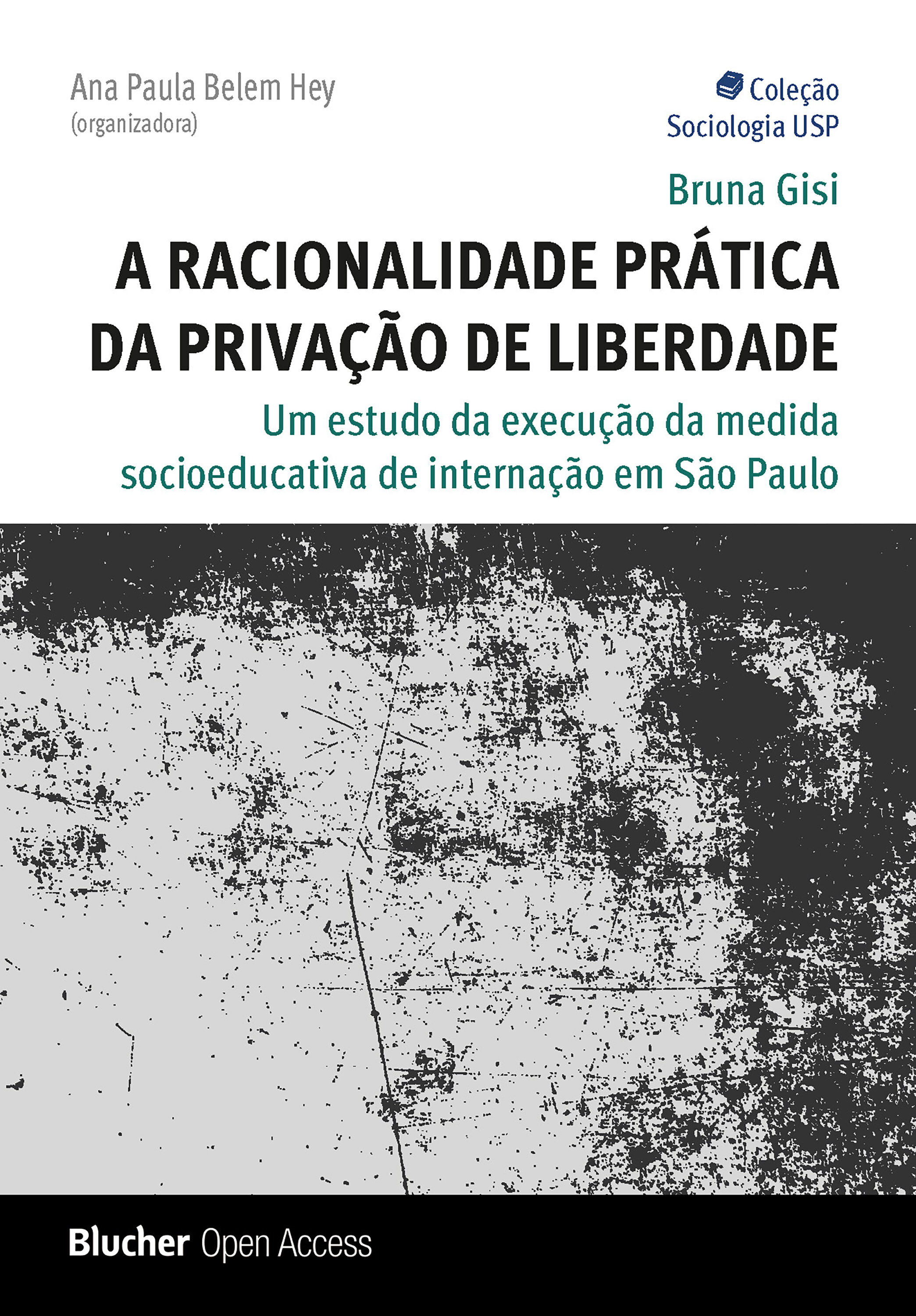 A racionalidade prática da privação de liberdade: Um estudo da execução da medida socioeducativa de internação em São Paulo