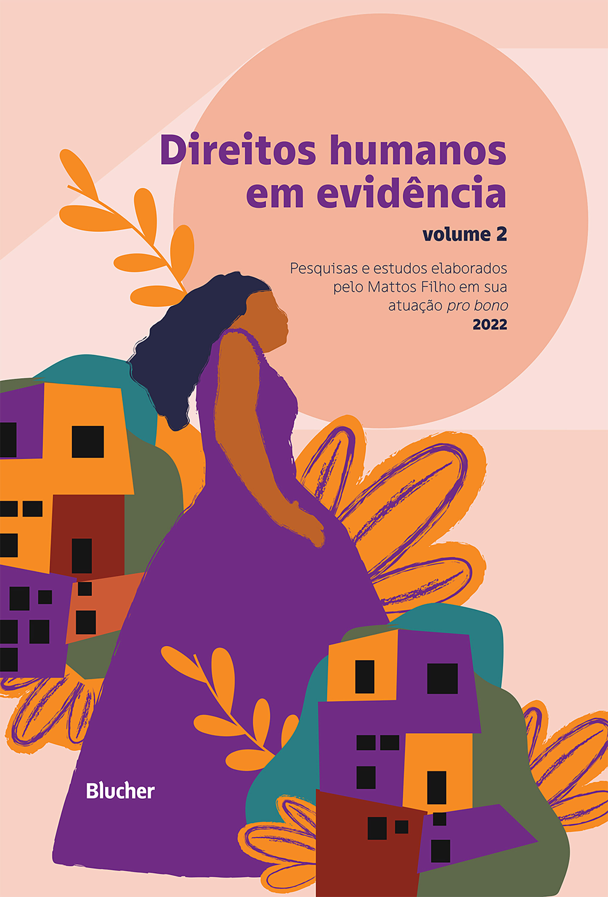 Direitos humanos em evidência: Volume 2